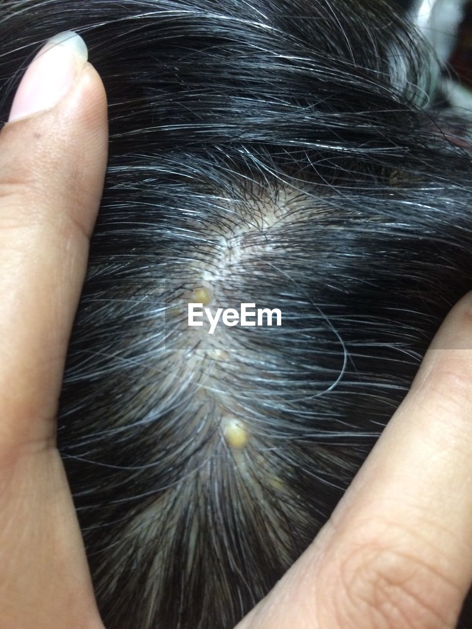Cropped image of human hair and hand