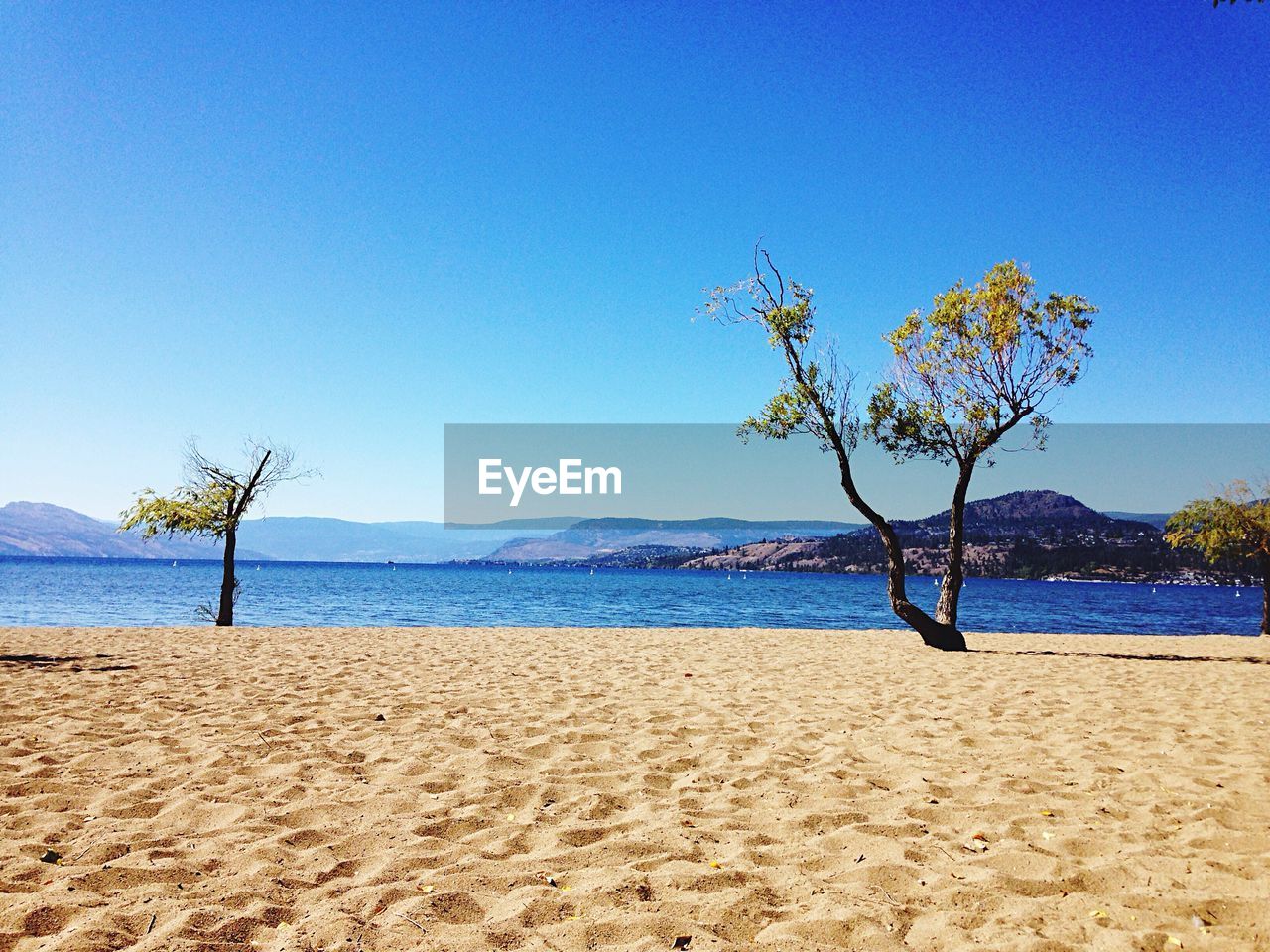 View of calm beach against clear blue sky