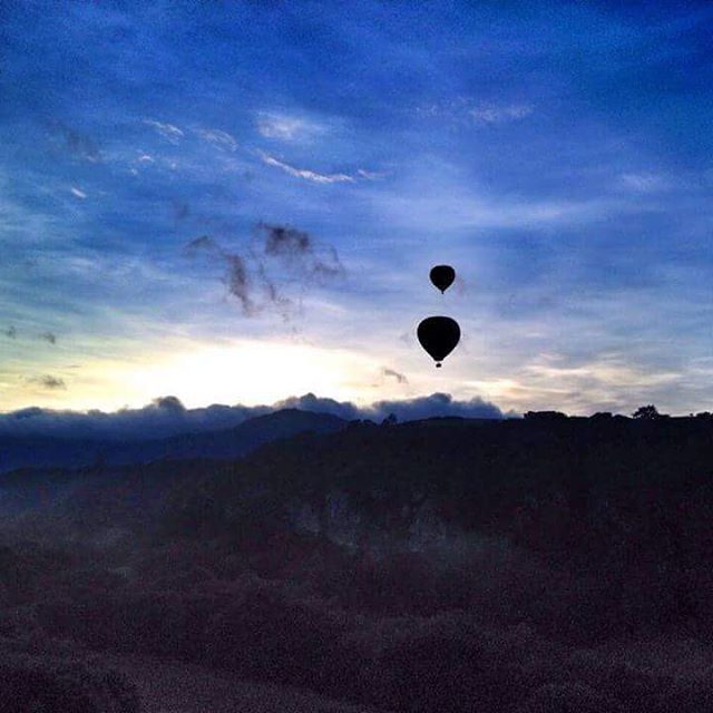 HOT AIR BALLOONS OVER LANDSCAPE