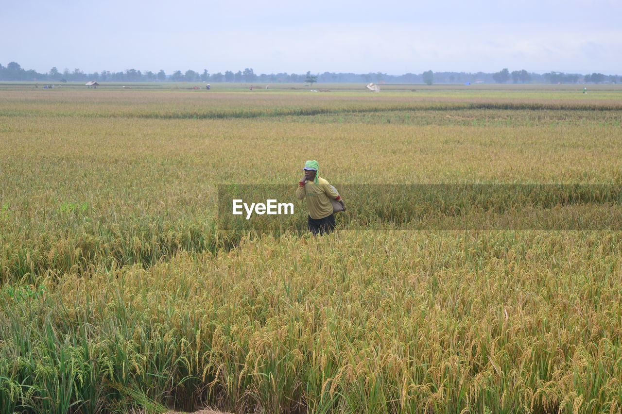 PERSON WORKING ON FIELD