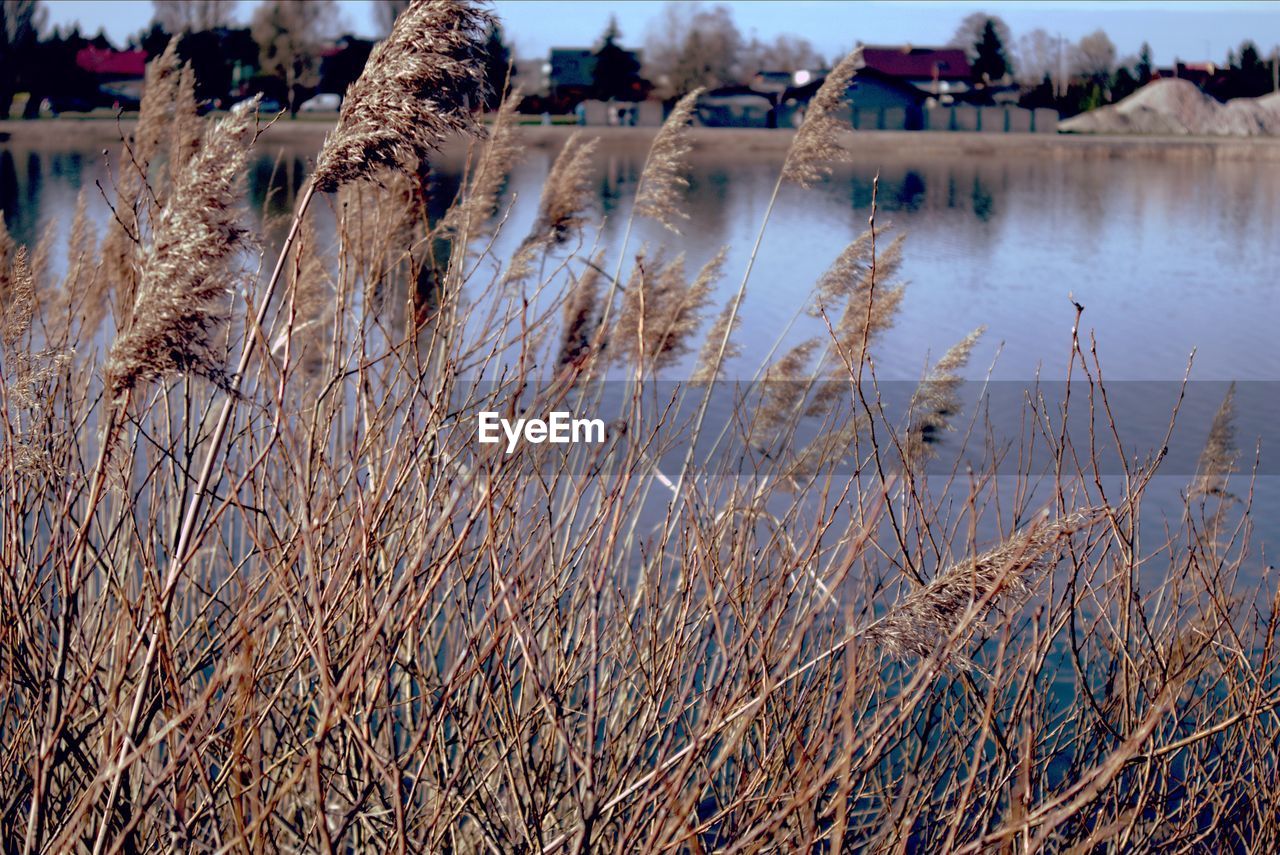 Scenic view of lake