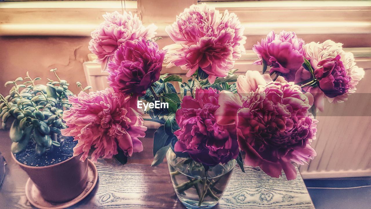 CLOSE-UP OF PURPLE FLOWERS IN VASE