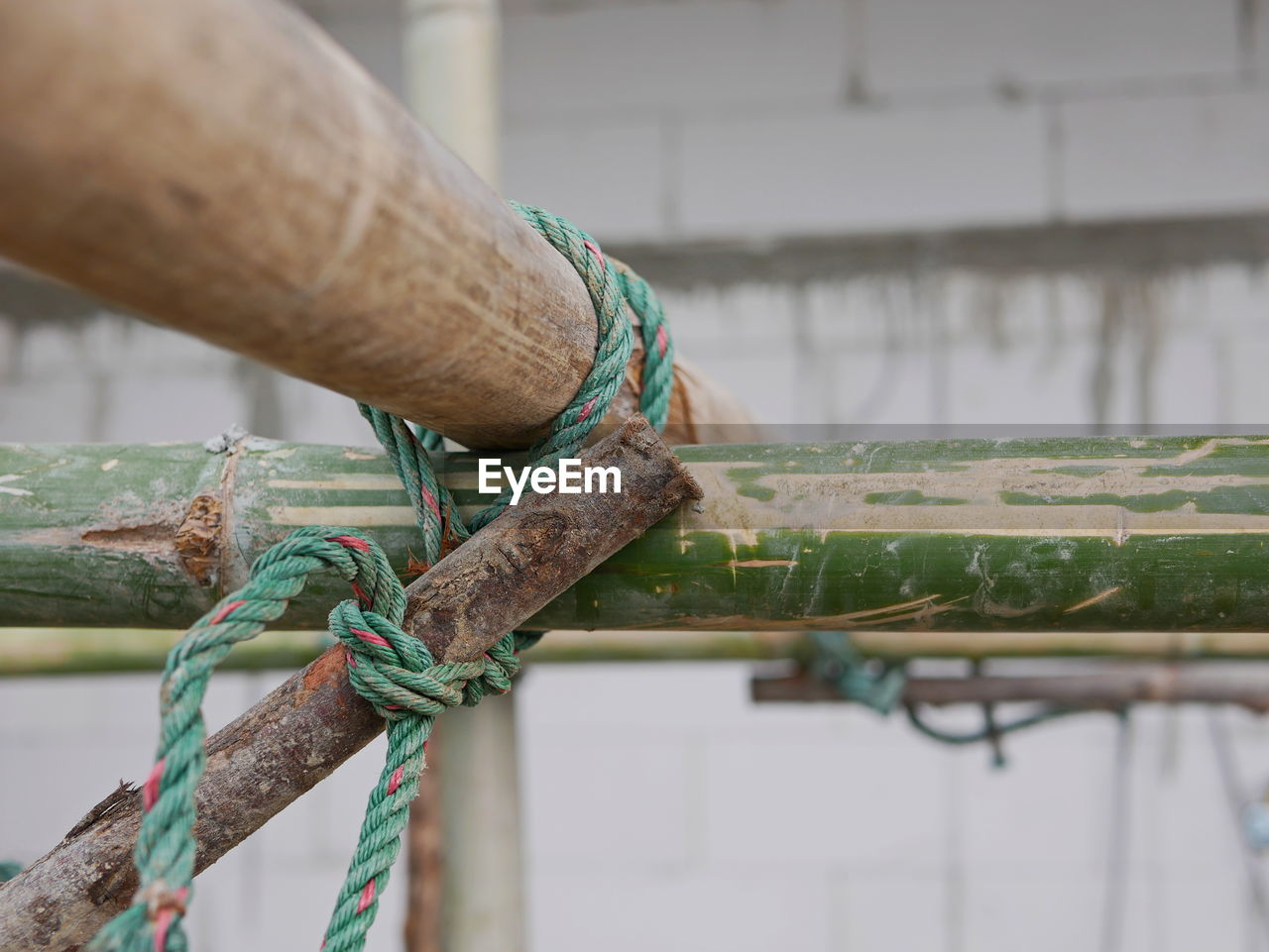 green, rope, strength, water, close-up, focus on foreground, day, tied up, hand, nautical vessel, outdoors, wood, protection, selective focus, branch, tied knot, nature