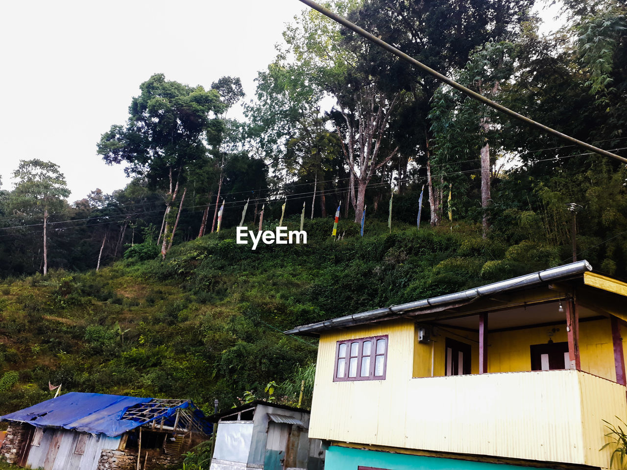 LOW ANGLE VIEW OF HOUSE AND TREES IN FOREST AGAINST SKY