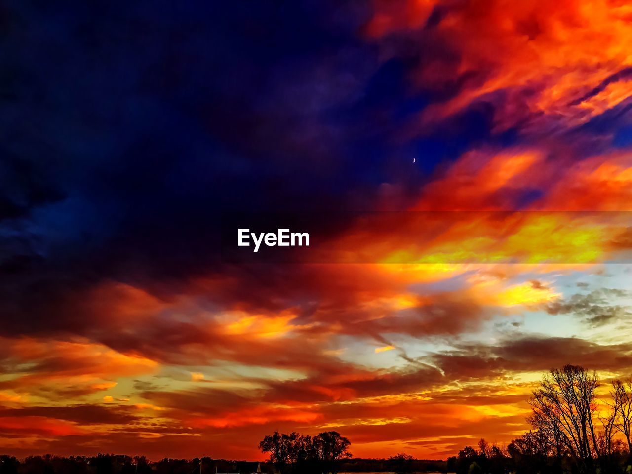 LOW ANGLE VIEW OF DRAMATIC SKY OVER SILHOUETTE TREES