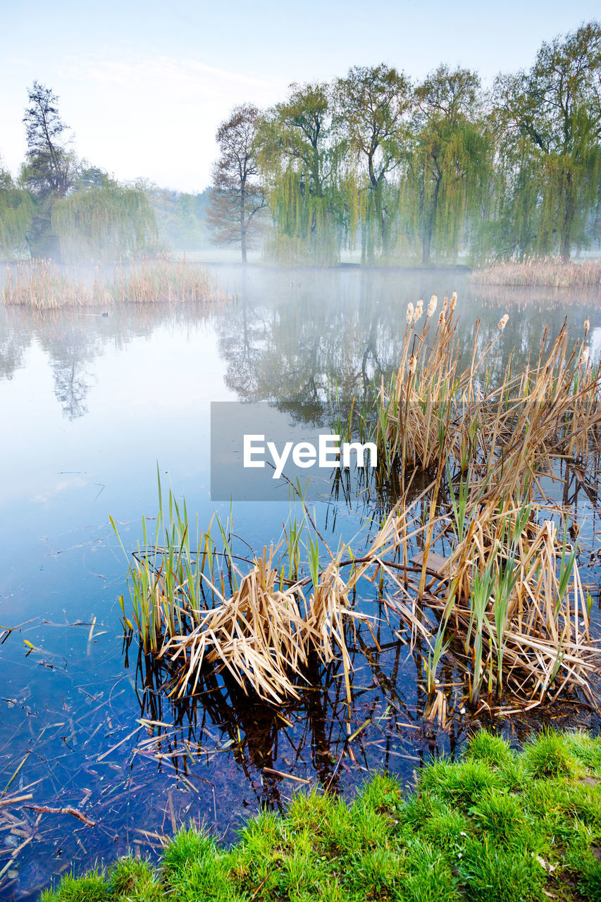 SCENIC VIEW OF LAKE WITH TREES IN BACKGROUND