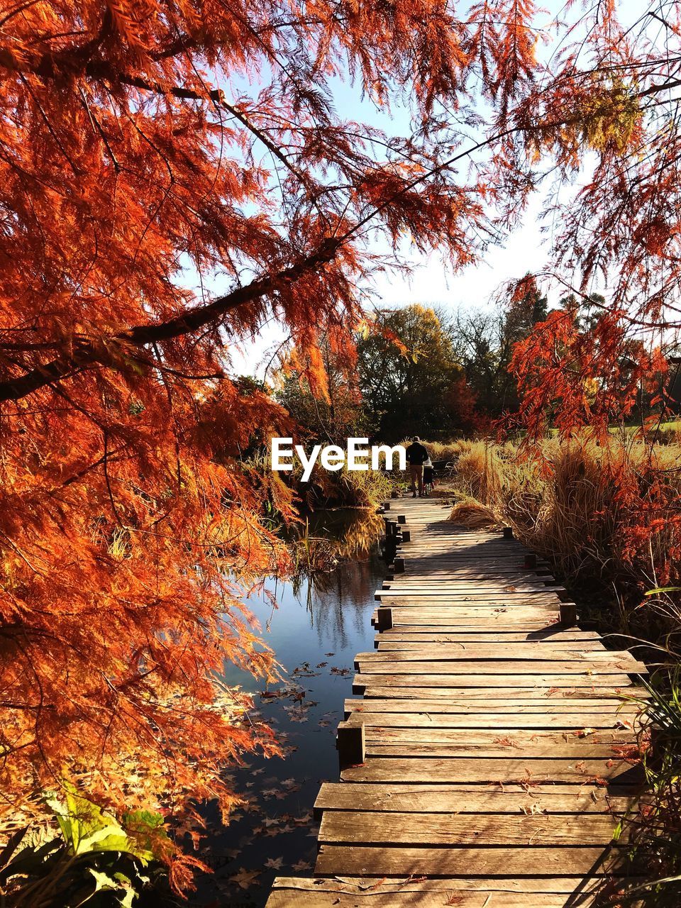 Footpath by lake during autumn