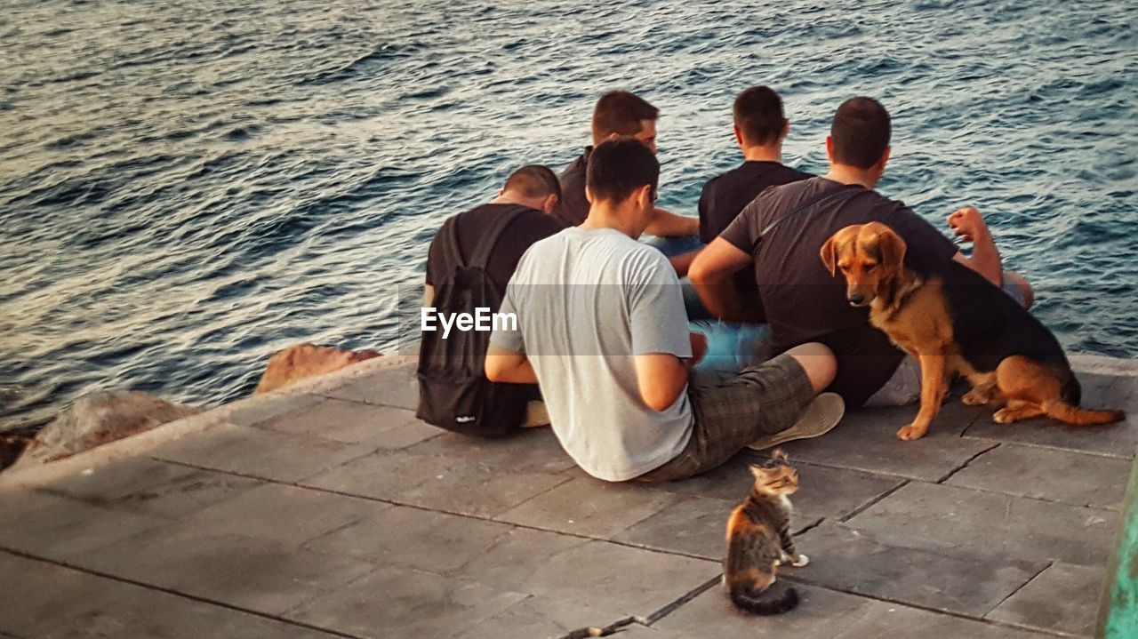 REAR VIEW OF MAN WITH DOG SITTING AT SEA