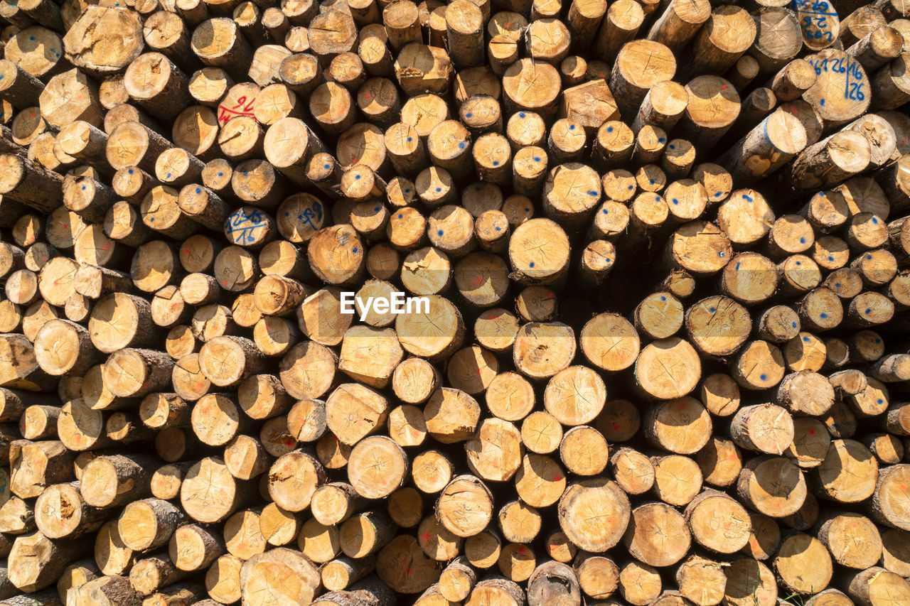 FULL FRAME SHOT OF FIREWOOD