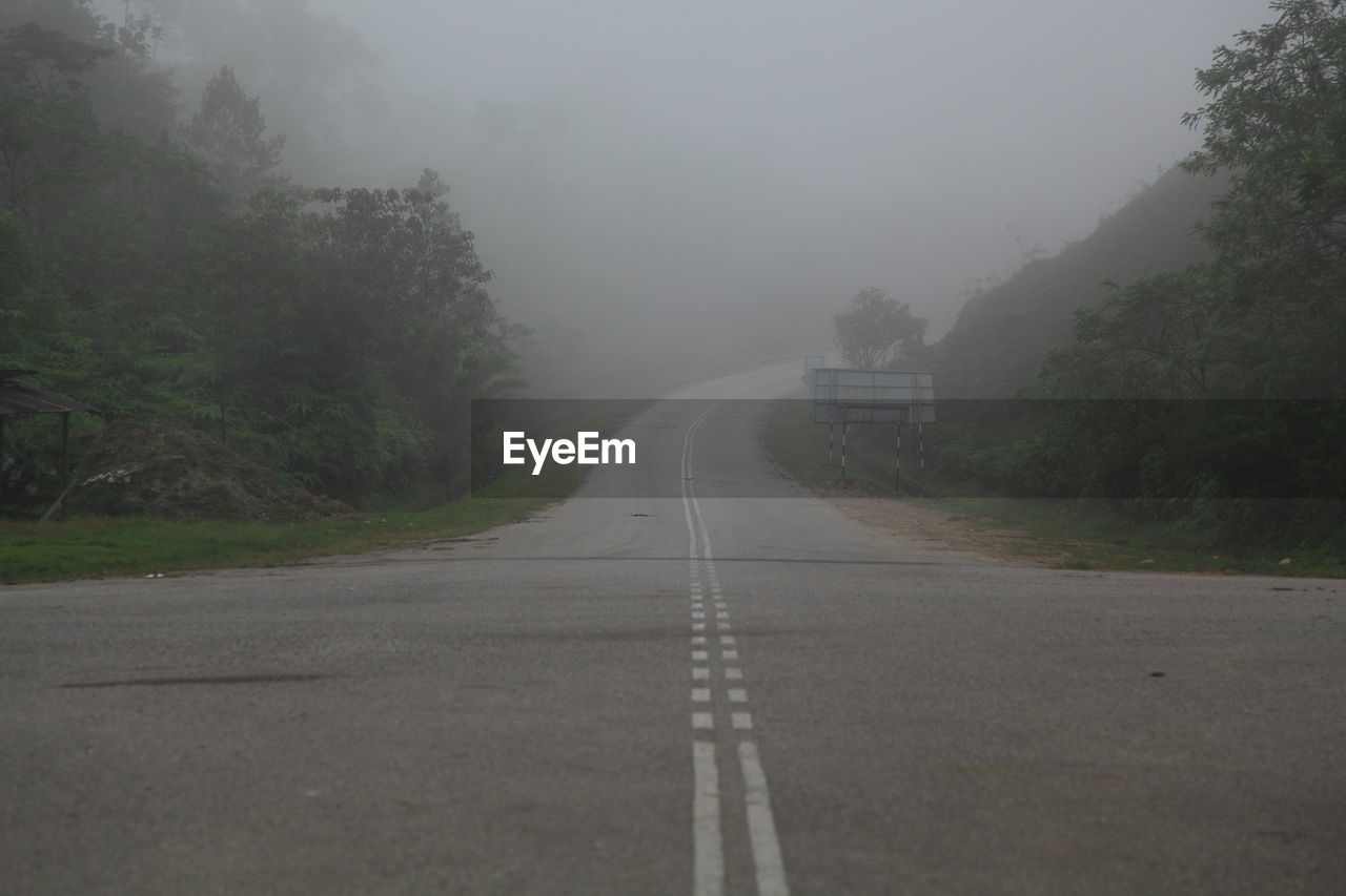 Road passing through forest in foggy weather