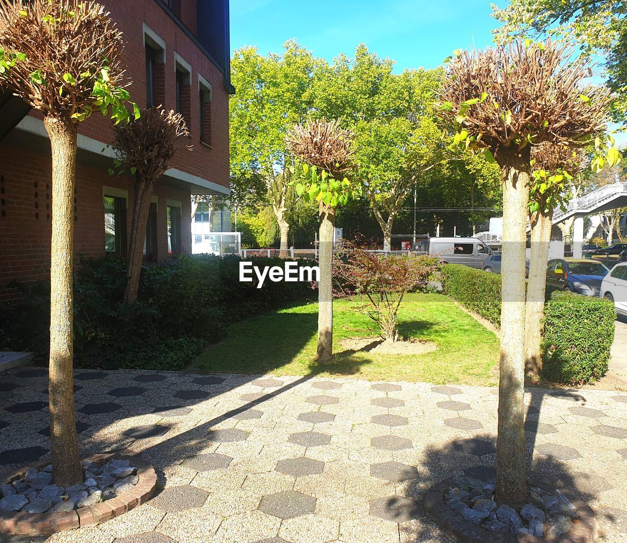 TREES AND PLANTS OUTSIDE BUILDING