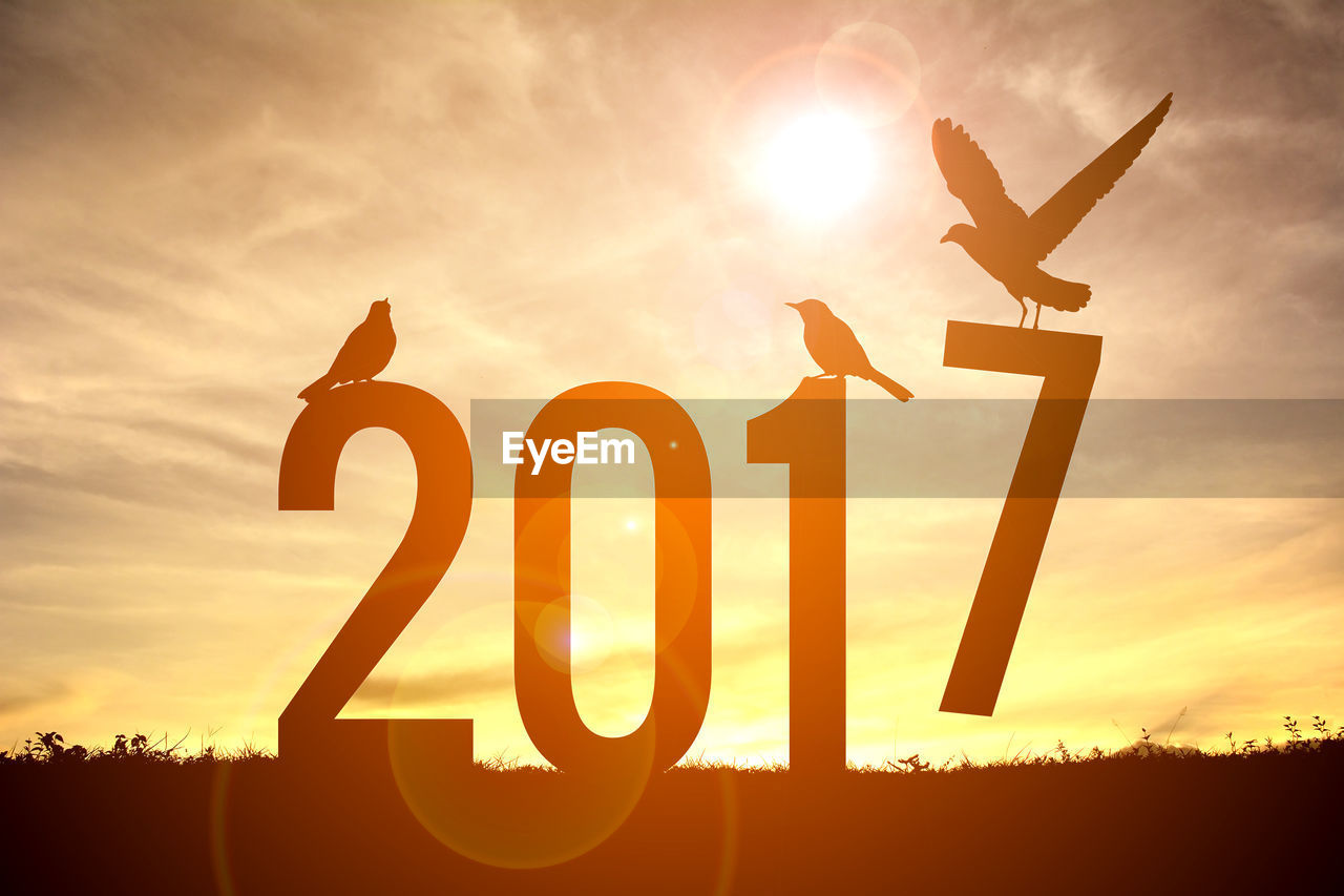 Silhouette birds perching on number 2017 against cloudy sky during sunset