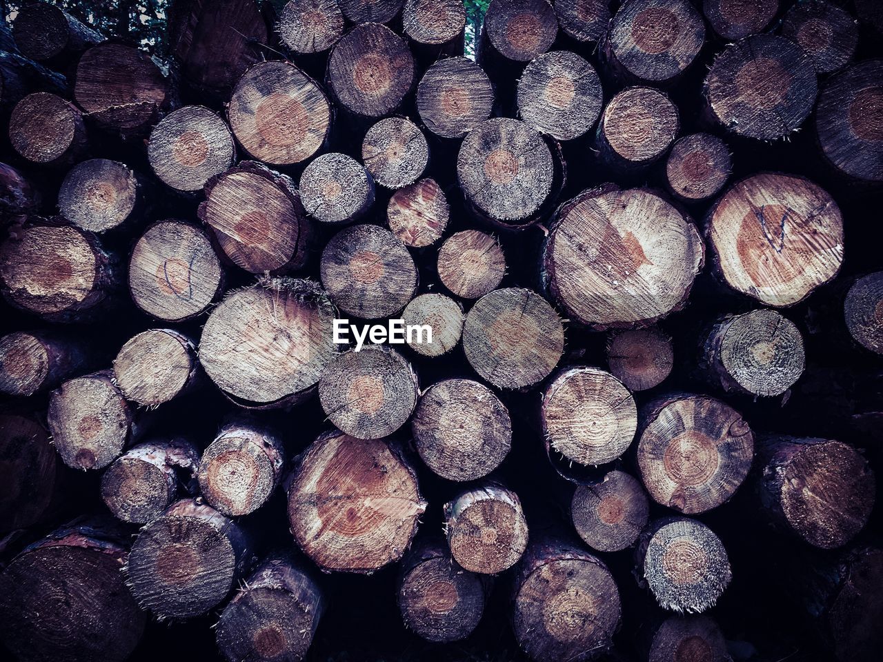 Stack of logs