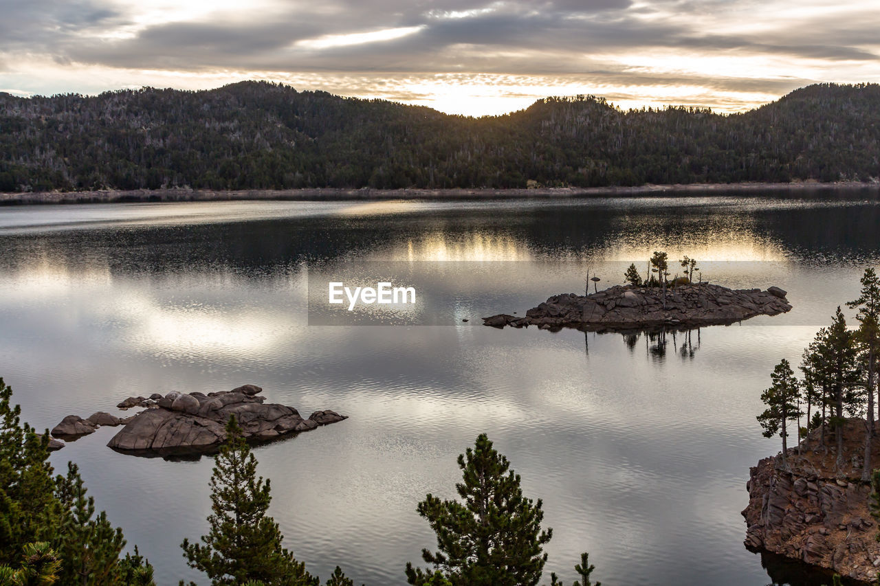 Island of stones with trees in the middle of a swamp at dawn