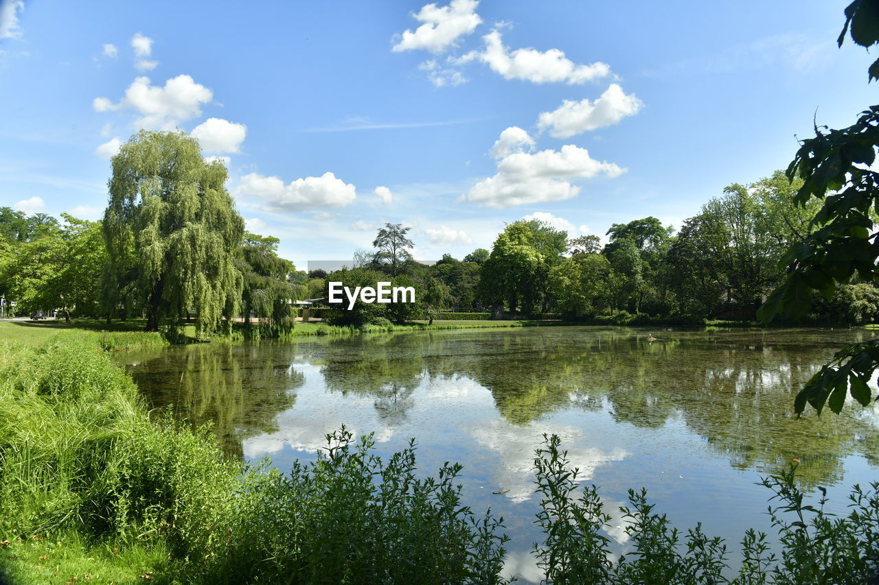 Scenic view of lake by trees against sky