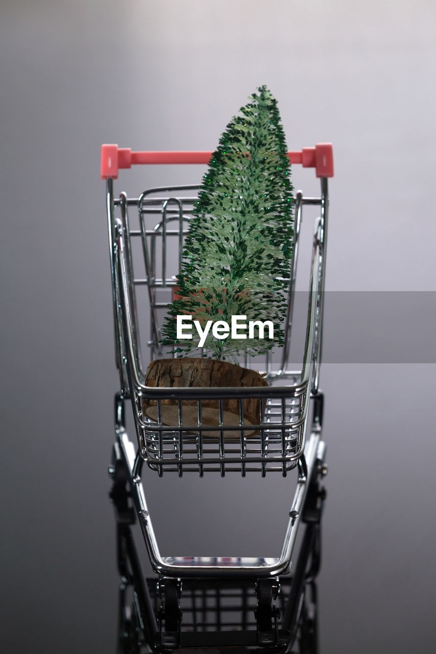 CLOSE-UP OF POTTED PLANT ON METAL CONTAINER