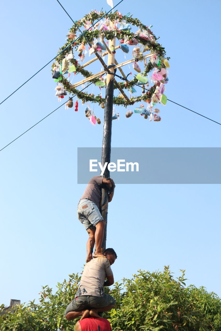 LOW ANGLE VIEW OF PLANT AGAINST CLEAR SKY