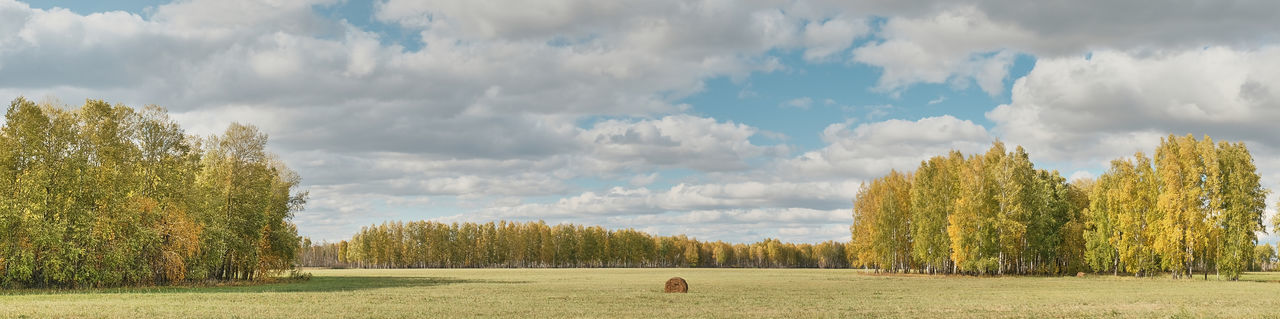 PANORAMIC VIEW OF FARM AGAINST SKY
