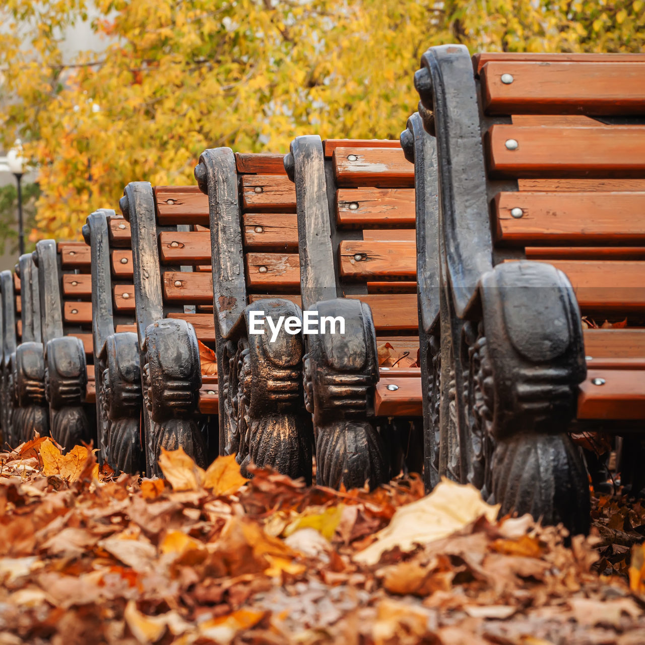 STACK OF LEAVES ON FIELD