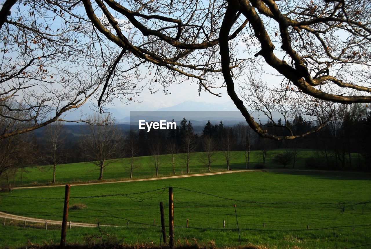 Scenic view of grassy field against sky