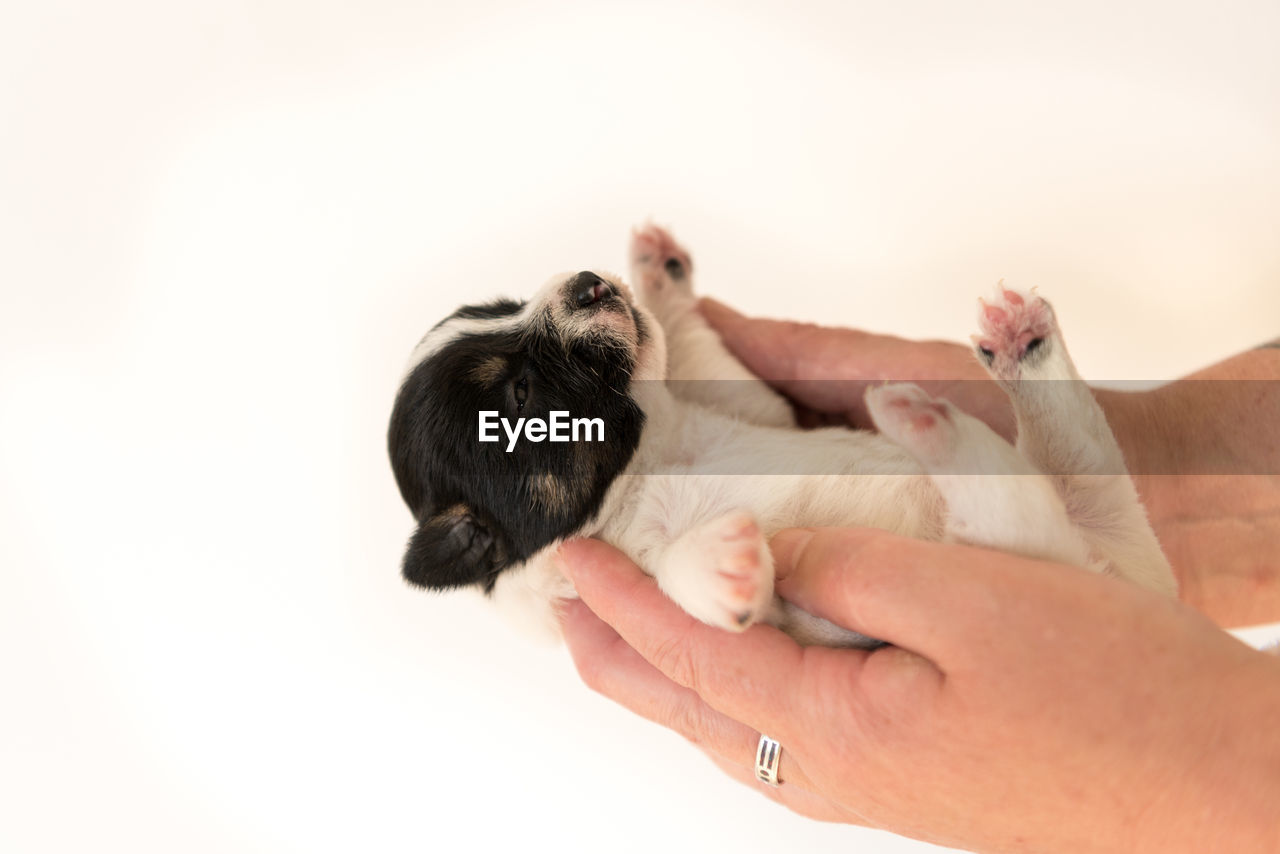 LOW ANGLE VIEW OF PERSON HAND AGAINST WHITE BACKGROUND