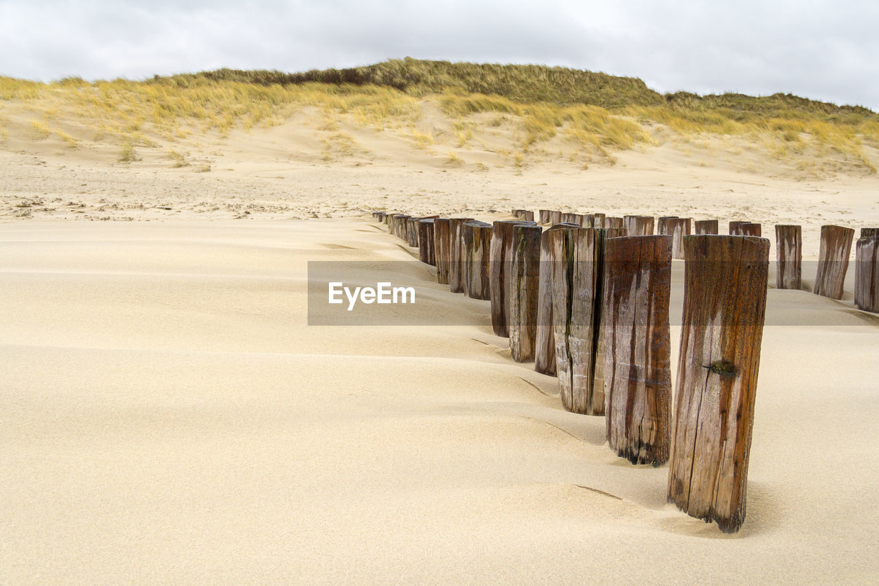 WOODEN POSTS ON BEACH DURING WINTER AGAINST SKY