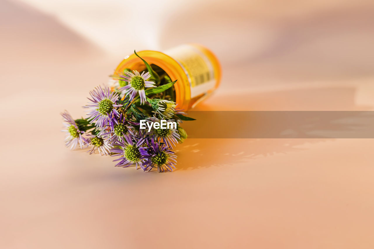 Flowers in the orange plastic bottle for prescribed medication. alternative medicine concept. 