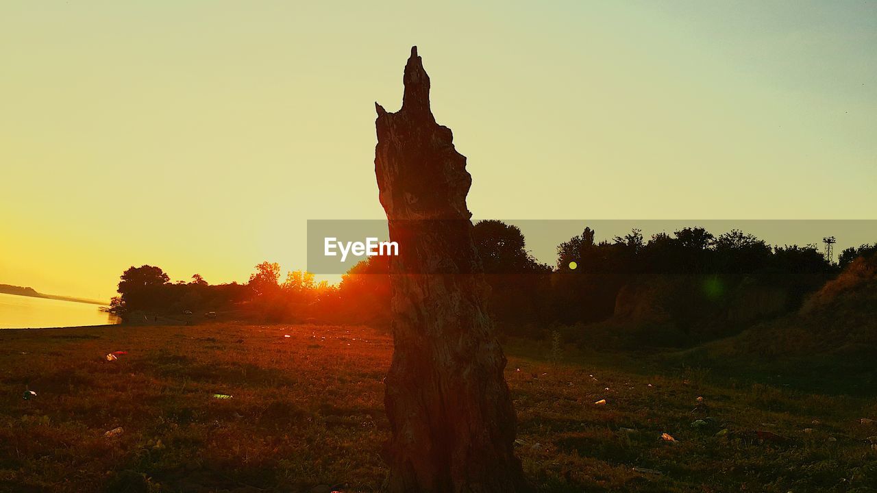 TREES ON FIELD AGAINST SKY AT SUNSET