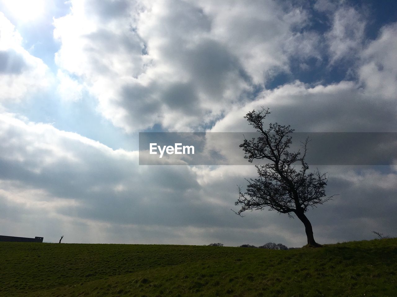 Scenic view of grassy field against cloudy sky