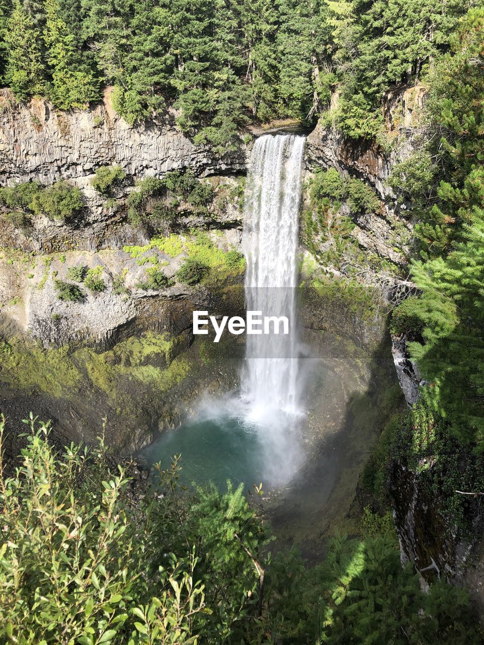 Scenic view of waterfall in forest in ouest canadien. 