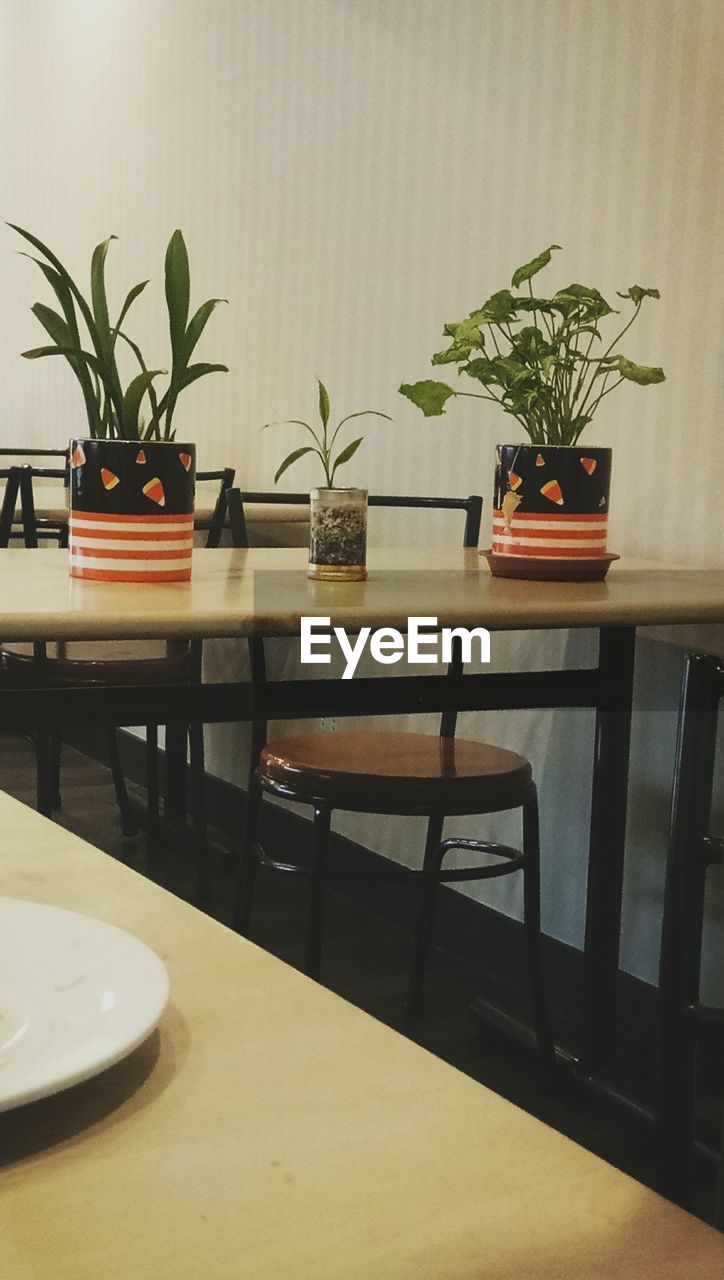 TABLE AND PLANTS ON HOME