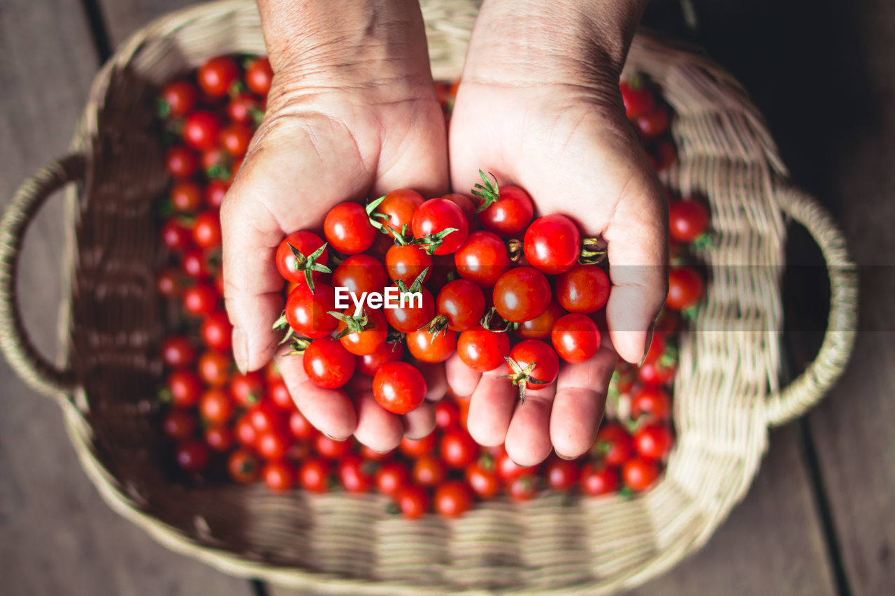 Cropped hands holding cherry tomatoes over wicker basket