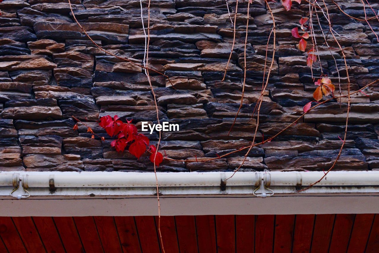 VIEW OF SNOW COVERED RED SNOW