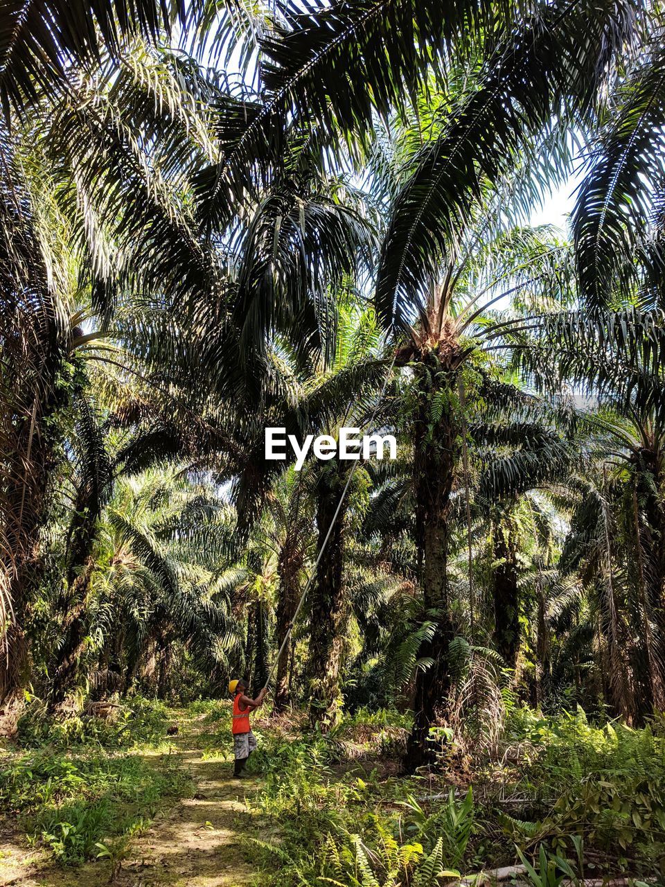 Side view of man standing in forest