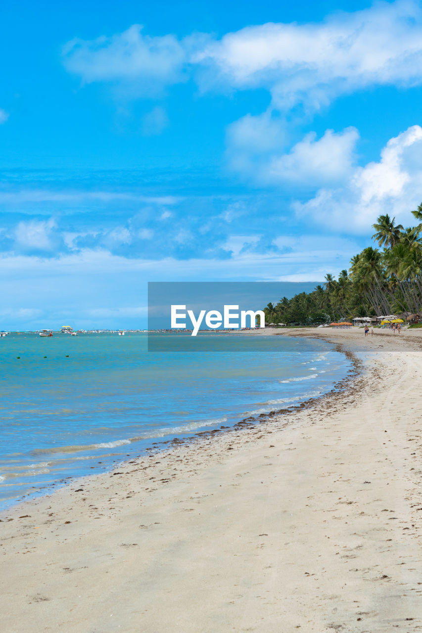 SCENIC VIEW OF BEACH