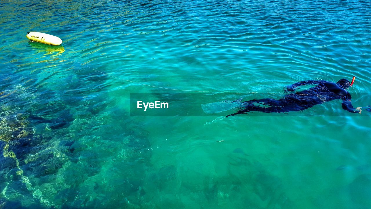 High angle view of man snorkeling in turquoise sea