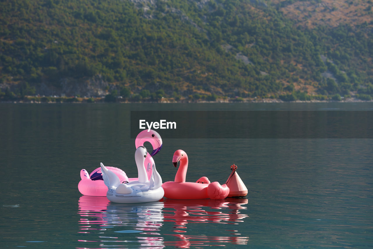 high angle view of man kayaking in lake