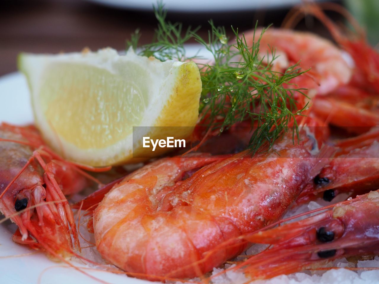 Close-up of shrimps scampi served in plate on table