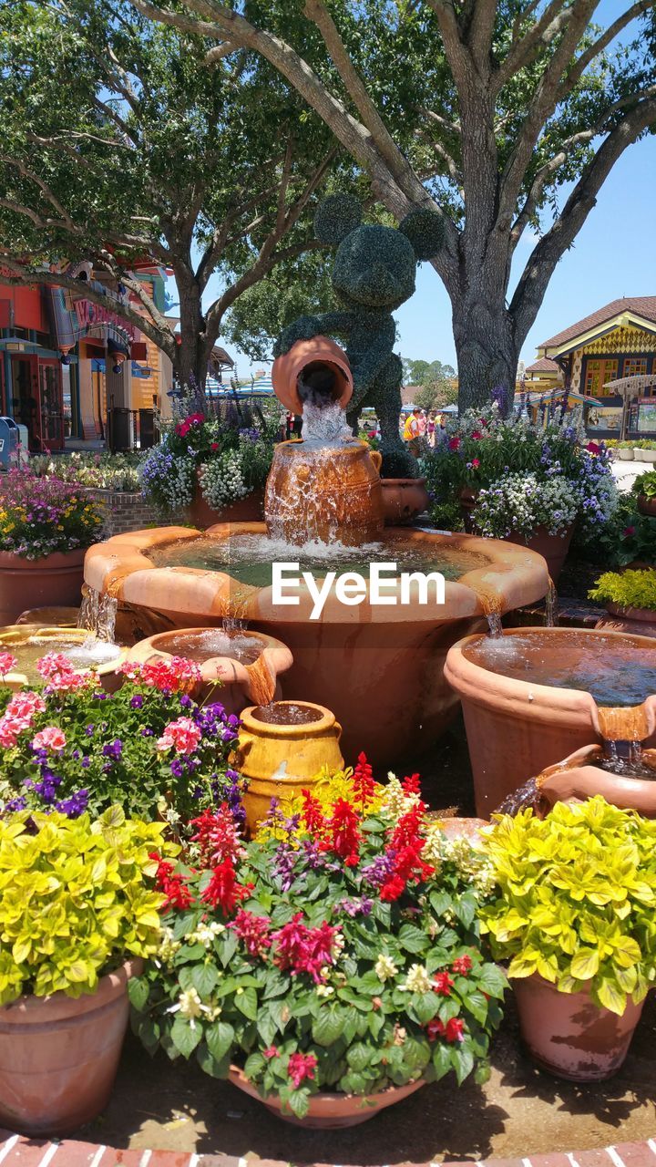 Topiary on fountain in park