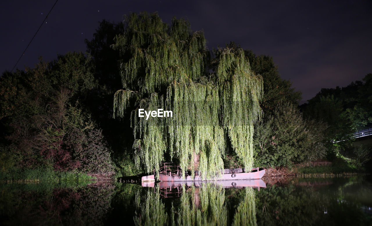 SCENIC VIEW OF LAKE BY TREES IN FOREST