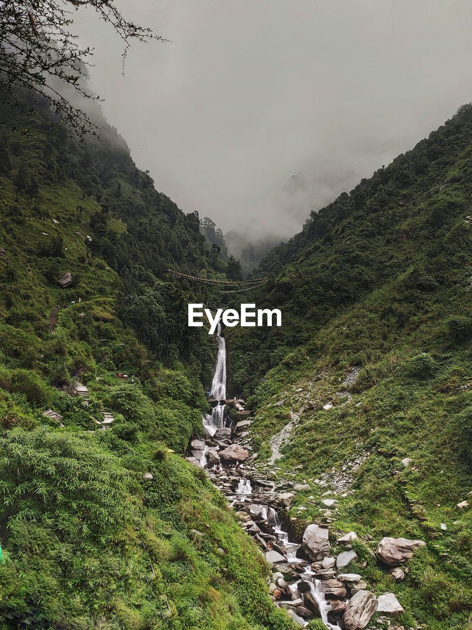 rear view of man walking on mountain