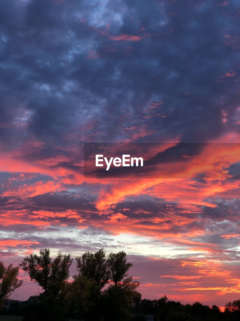 LOW ANGLE VIEW OF TREES AGAINST CLOUDY SKY