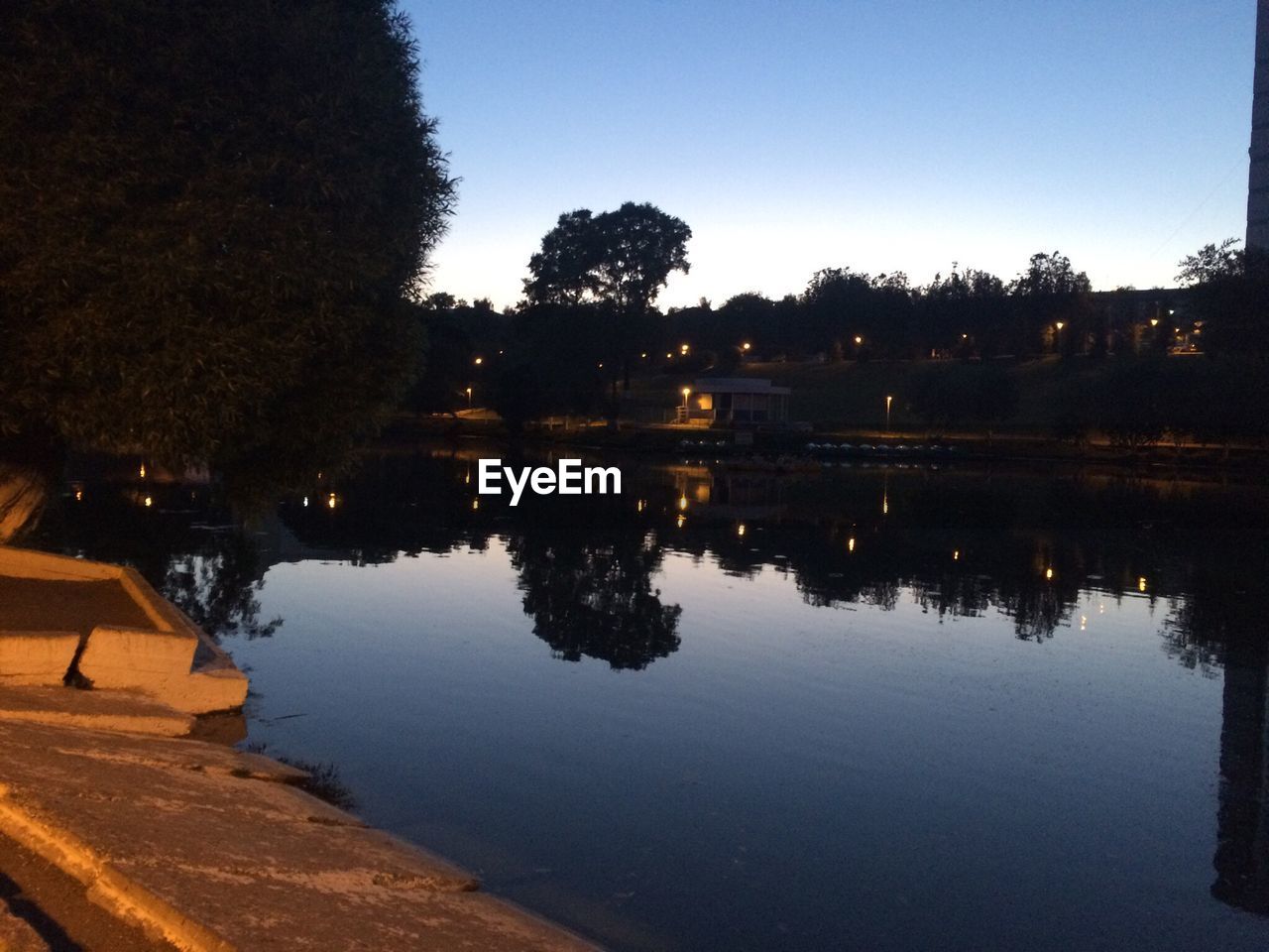 REFLECTION OF TREES IN CITY