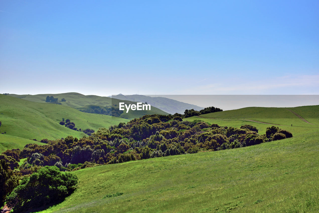 scenic view of landscape against clear blue sky