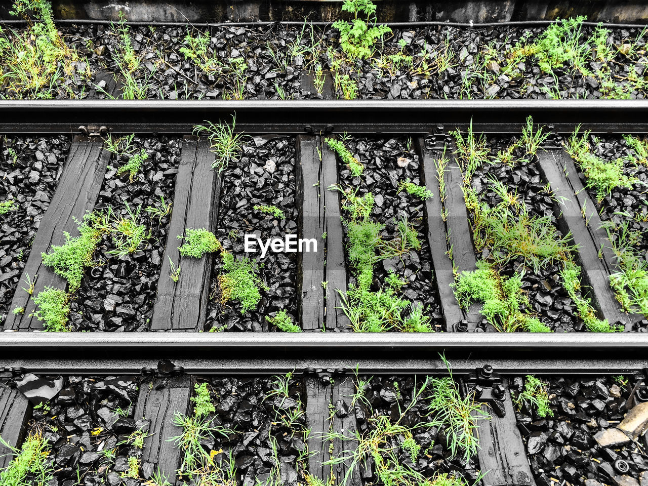 Close-up of railroad track