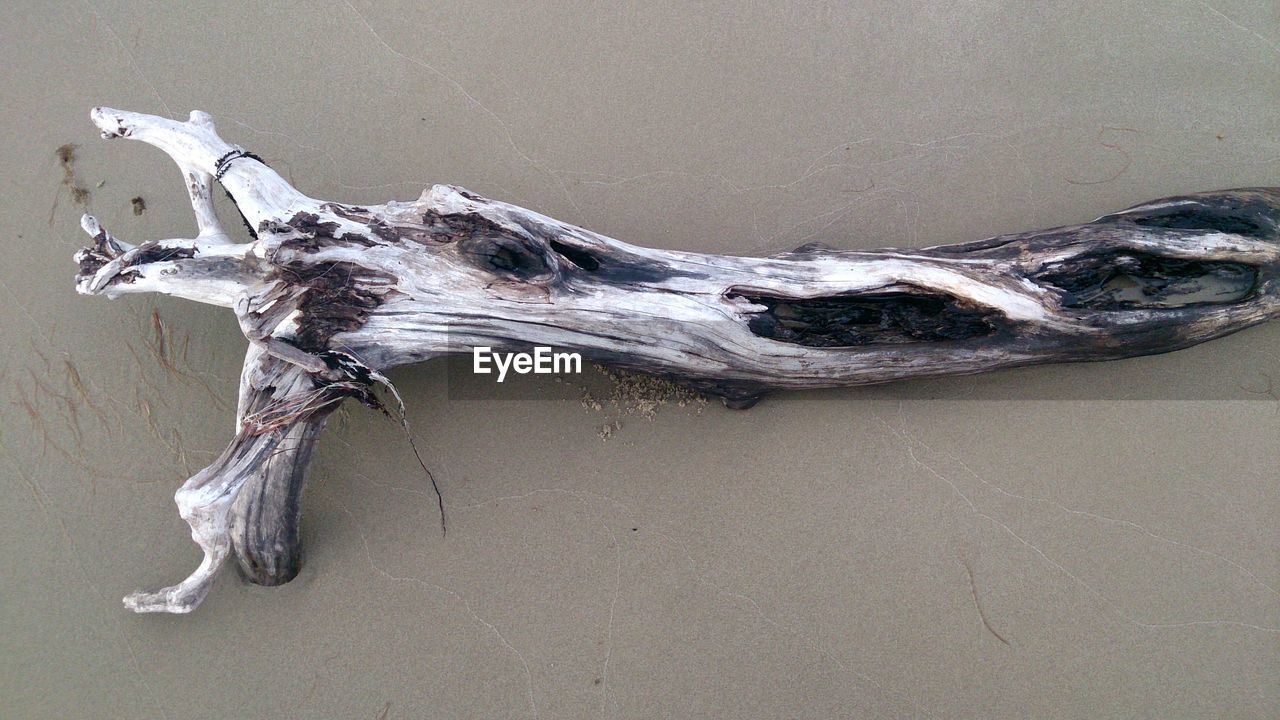High angle view of driftwood on sand at beach