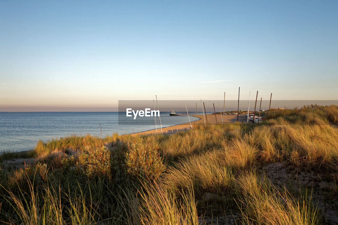 sea, horizon, water, shore, sky, beach, land, coast, nature, beauty in nature, natural environment, grass, ocean, scenics - nature, horizon over water, tranquility, plant, morning, environment, tranquil scene, sand, body of water, no people, landscape, clear sky, marram grass, coastline, travel, dusk, seascape, blue, travel destinations, outdoors, sunrise, non-urban scene, holiday, sand dune, tourism, trip, vacation, wave, day, marsh, nautical vessel, copy space, sunlight, idyllic, architecture, environmental conservation, summer, transportation, urban skyline