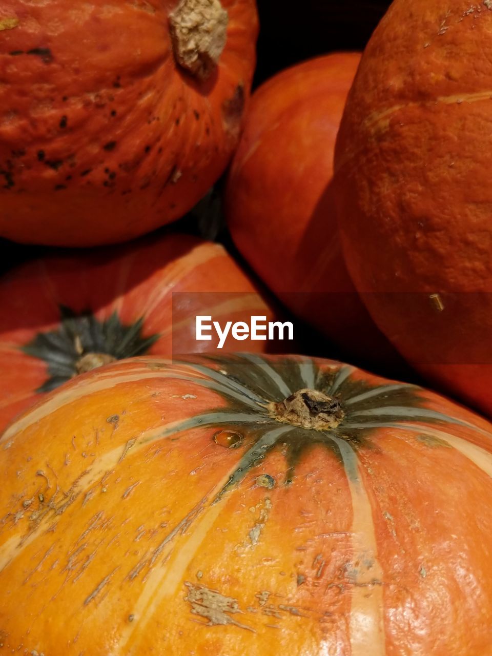 HIGH ANGLE VIEW OF PUMPKINS