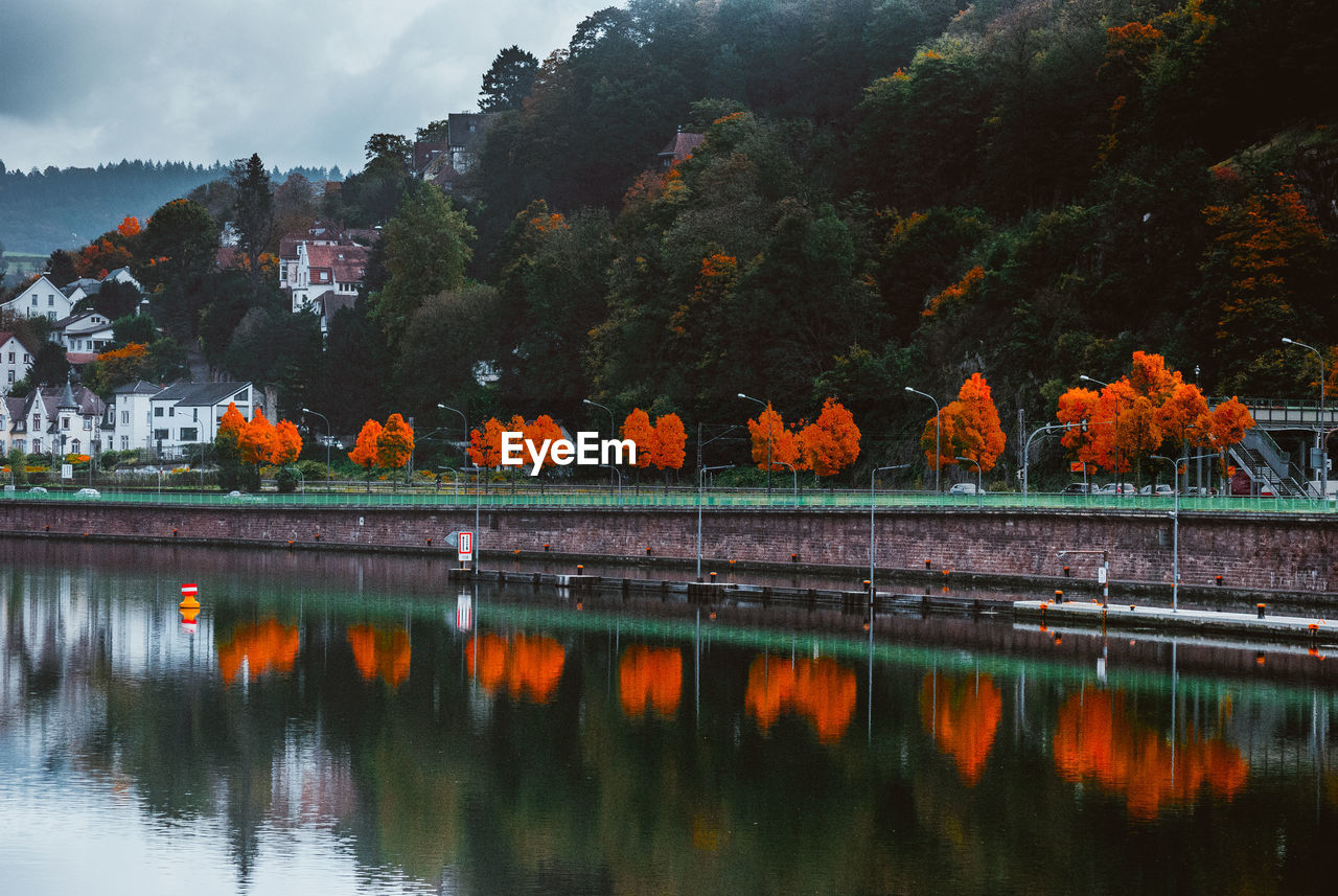 SCENIC VIEW OF LAKE BY TREES AGAINST SKY