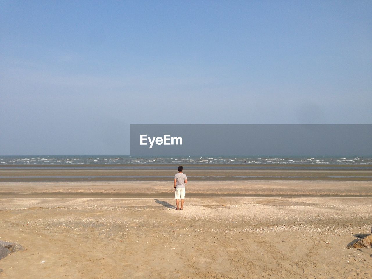 Rear view of man looking at beach